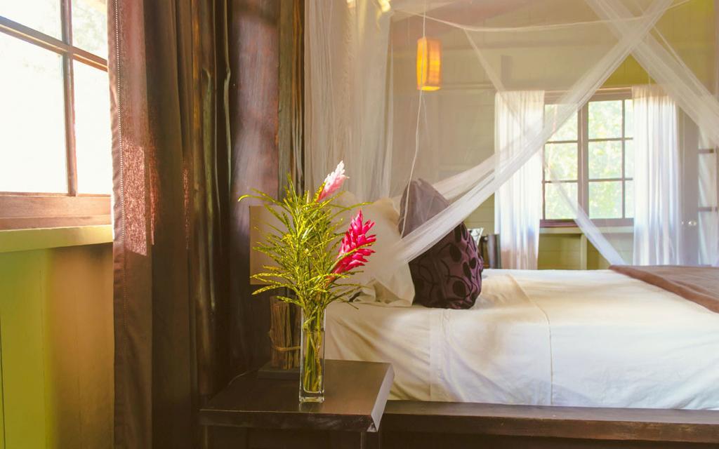 Island Plantation (Adults Only) La Gruta Quarto foto